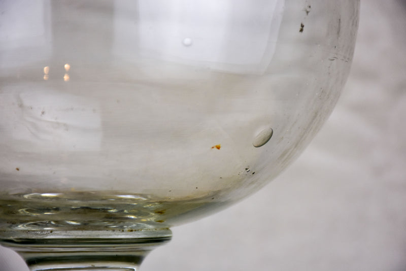 19th century French Sangsue apothecary glass