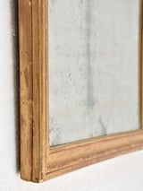 Historic mercury glass framed antique mirror
