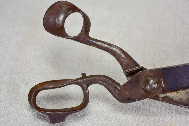 Early 20th Century tailor's scissors 1/3