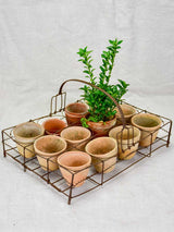 Collection of twelve small antique French terracotta pots 3¼"