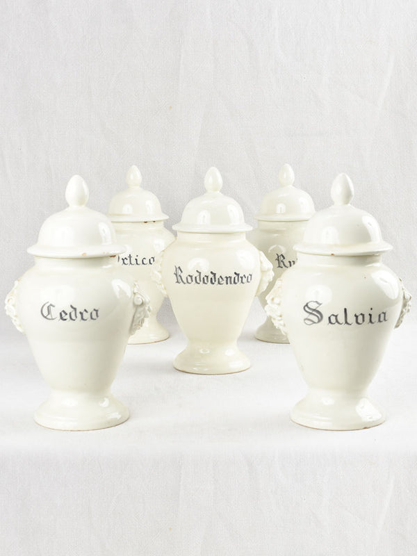 Exquisite late eighteenth-century Italian apothecary jars