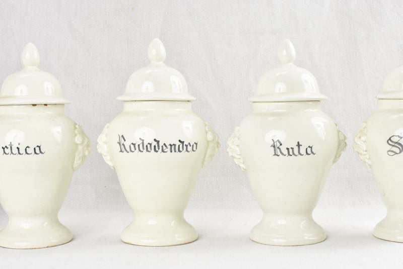 Collection of 5 apothecary jars 11¾" Chez Pluie