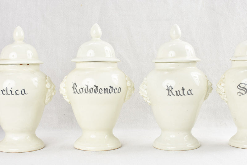 Historic Venetian labelled apothecary jars