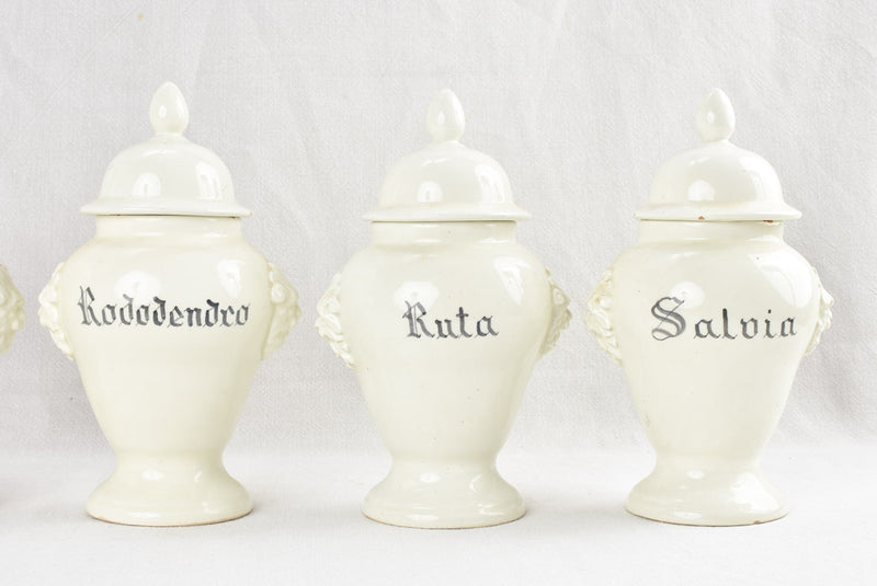 Rustic Ortica labeled Italian apothecary jar