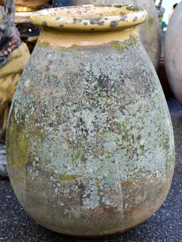 Weathered 19th Century French Biot olive jar 35 ¾''