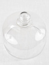 Transparent Blown Glass Patisserie Cloche