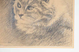 Framed provenance artistic cat study