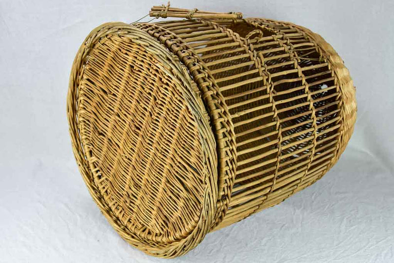 1950's French cane birdcage with original photo 30¾"