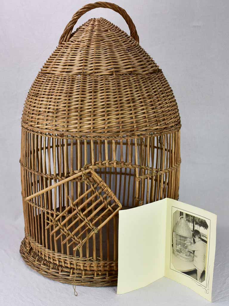 1950's French cane birdcage with original photo 30¾"