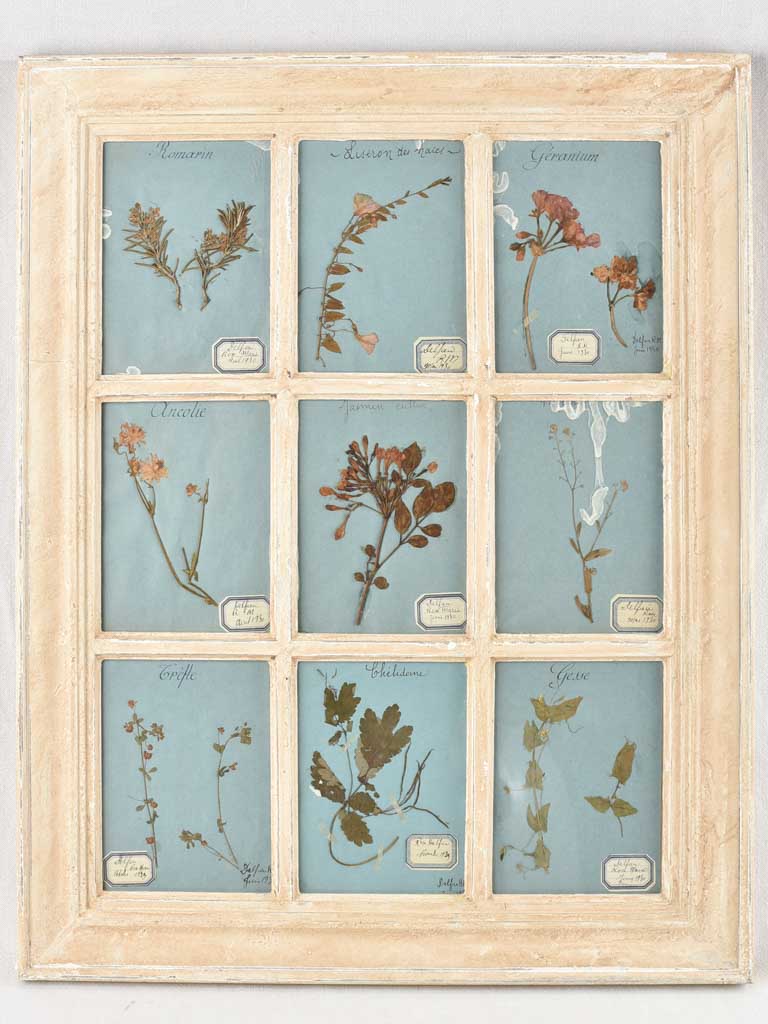 Rustic 1930s Framed Dry Flowers Art