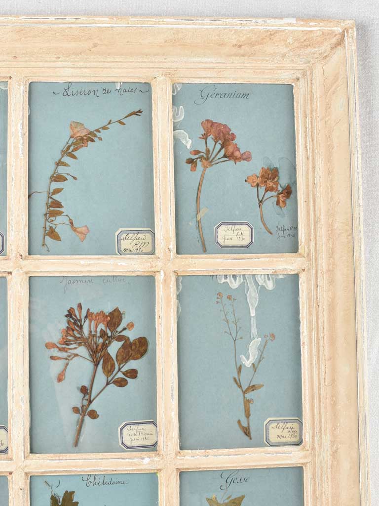 Decorative French Window Herbiers Art