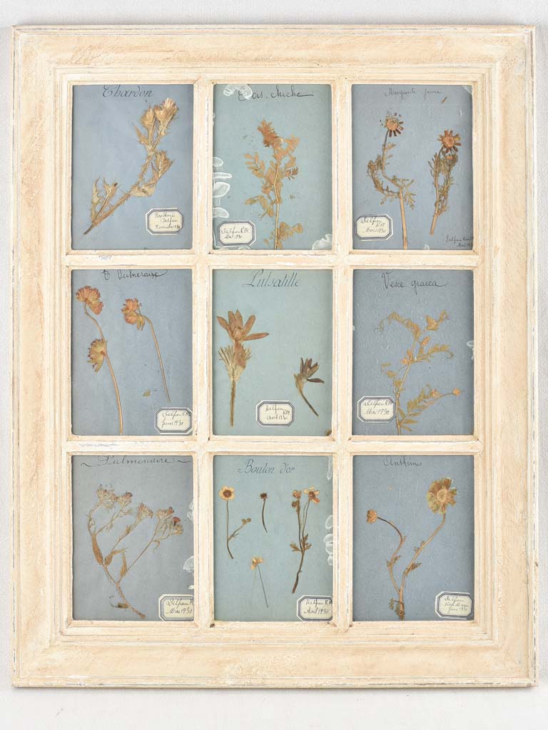 Classic French-style Herbal Wall Art