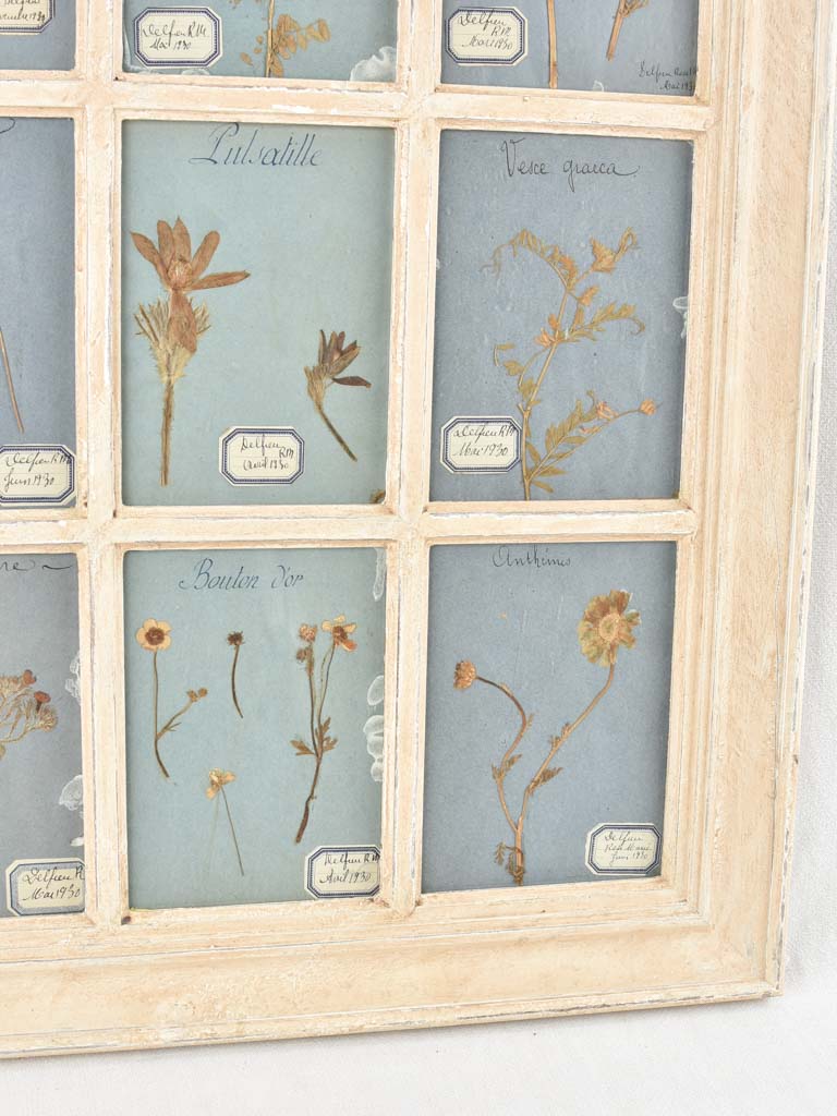 1930s Aged Dried Flowers Frame