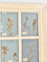 Classic French Window Herbiers Artwork