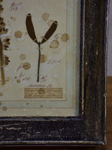 Four French pressed flower frames