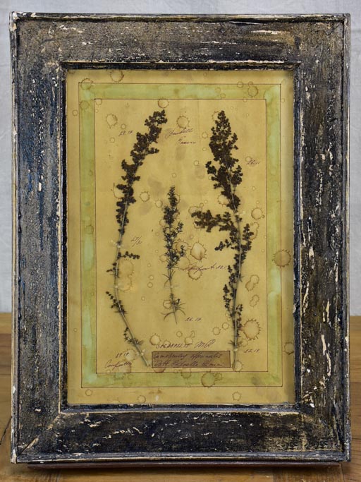 Four French pressed flower frames