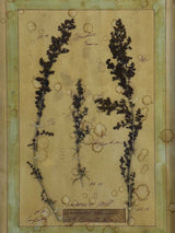 Four French pressed flower frames