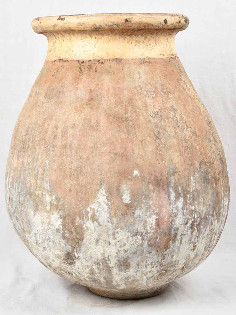 19th century olive jar 27½"
