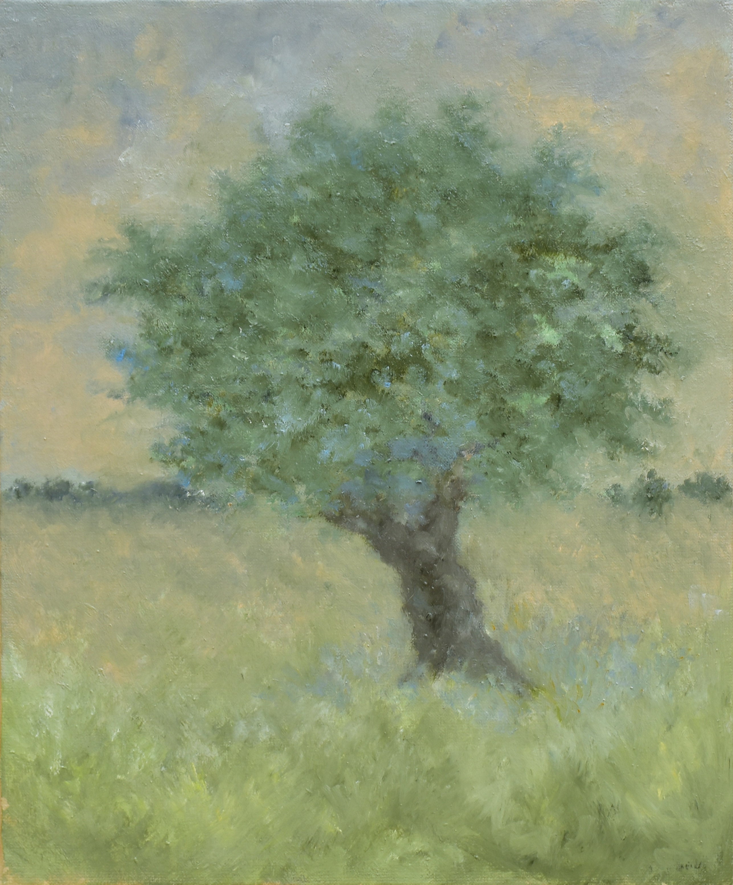 L'olivier
