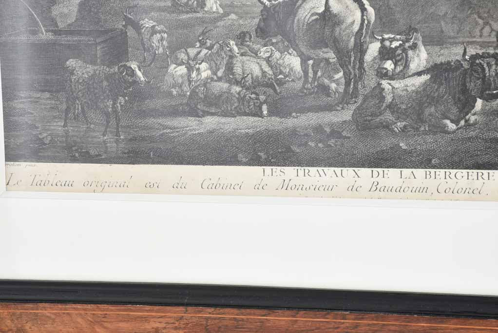 Two 19th century engravings - herd of cows 24¾" x 29¼"