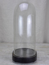 Napoleon III oval marriage dome