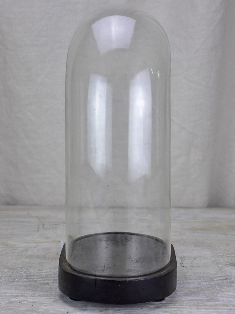 Napoleon III oval marriage dome
