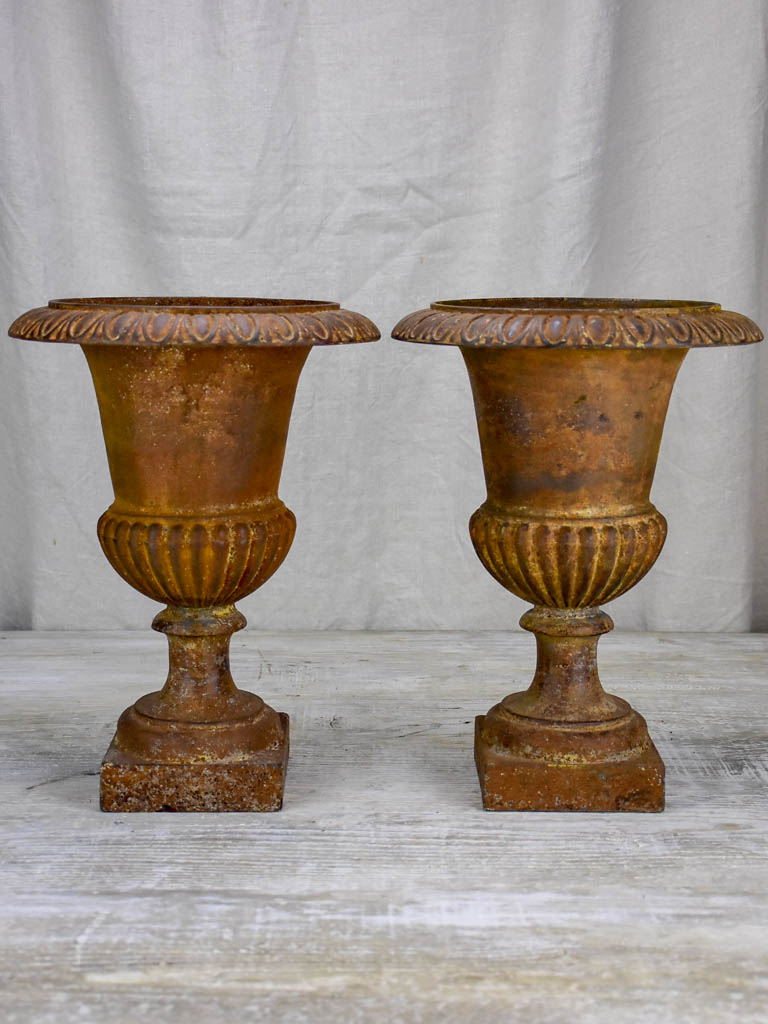 Pair of 19th Century cast iron Medici urns 13½"