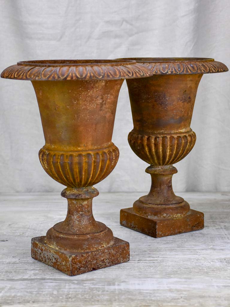 Pair of 19th Century cast iron Medici urns 13½"