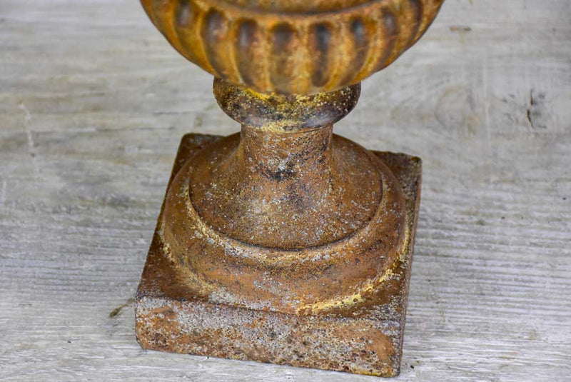 Pair of 19th Century cast iron Medici urns 13½"