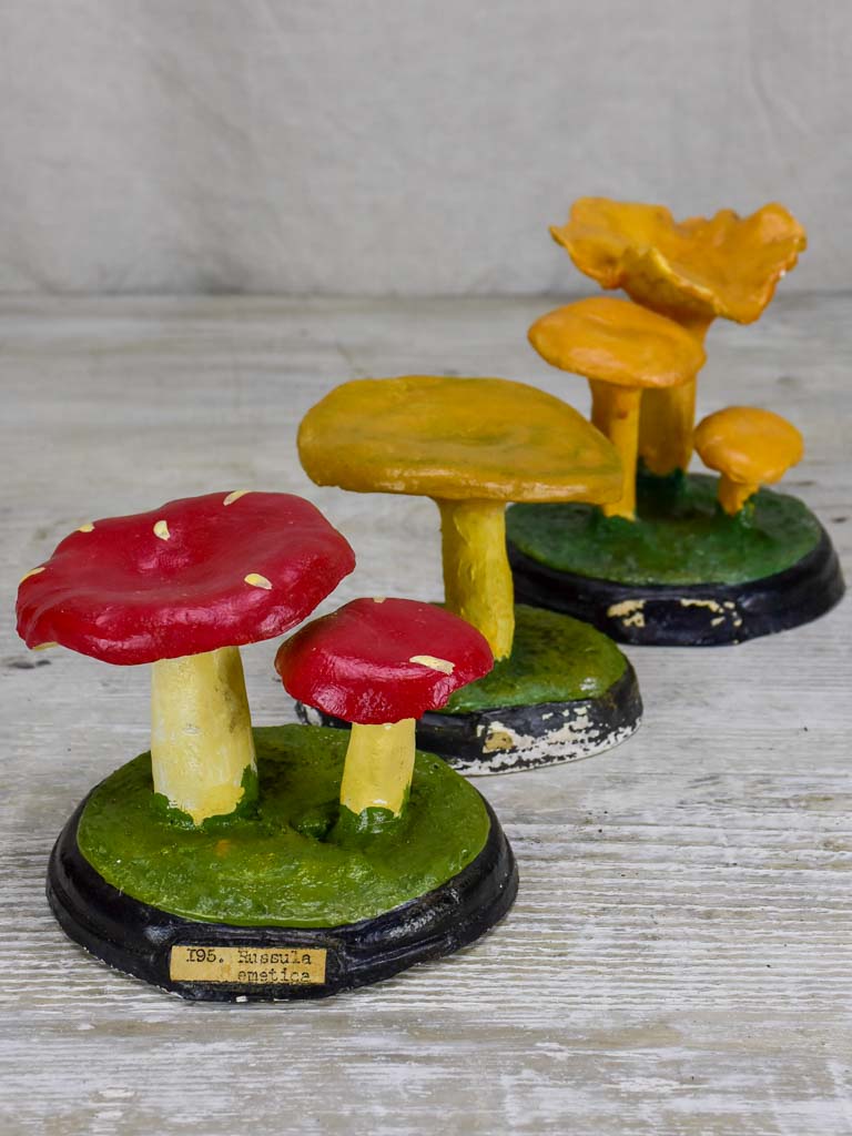 Collection of three antique French pharmacy mushrooms