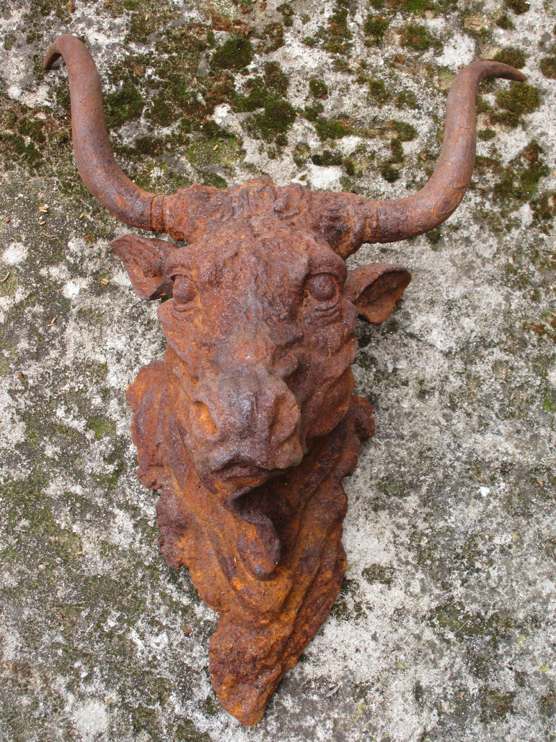 Rustic bulls head french farmhouse decor