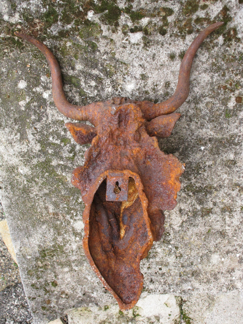 Back - Rustic bulls head french farmhouse decor