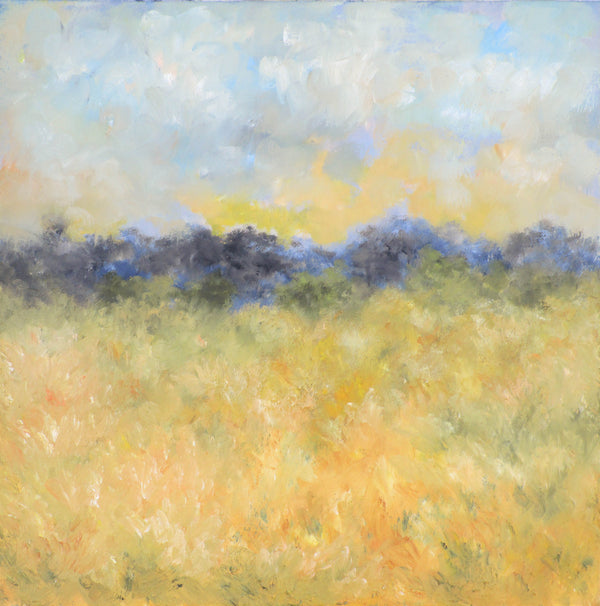 L'ombre du soleil