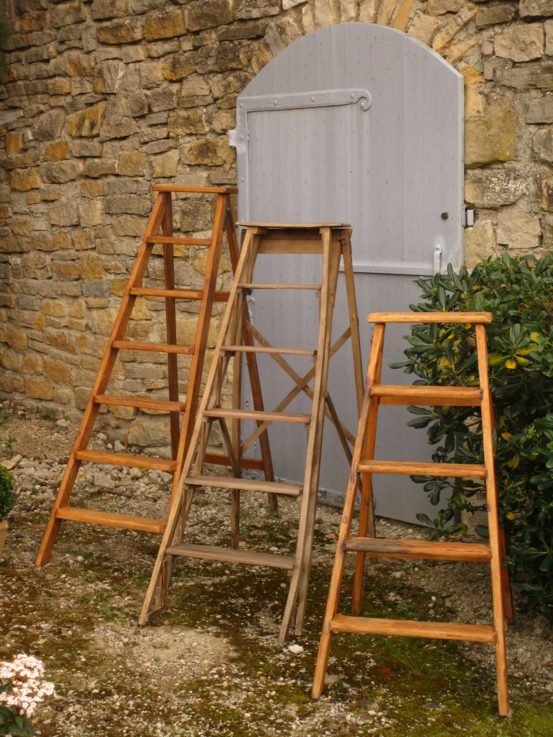 Lyonnaise library ladder - six steps