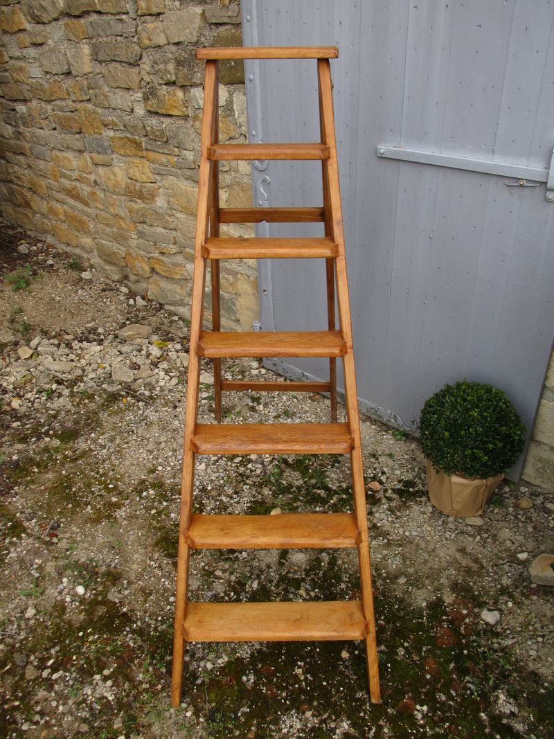 Vintage European Alpine Wood Ladder