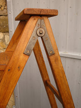 Classical Larch Wood 7-Step Ladder