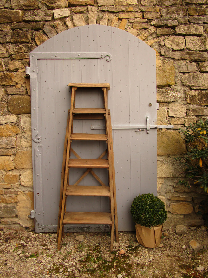 Lyonnaise library ladder - six steps