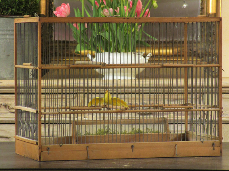 Rectangular birdcage 44