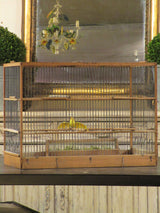 Rectangular birdcage 44