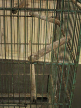Vintage birdcage 65