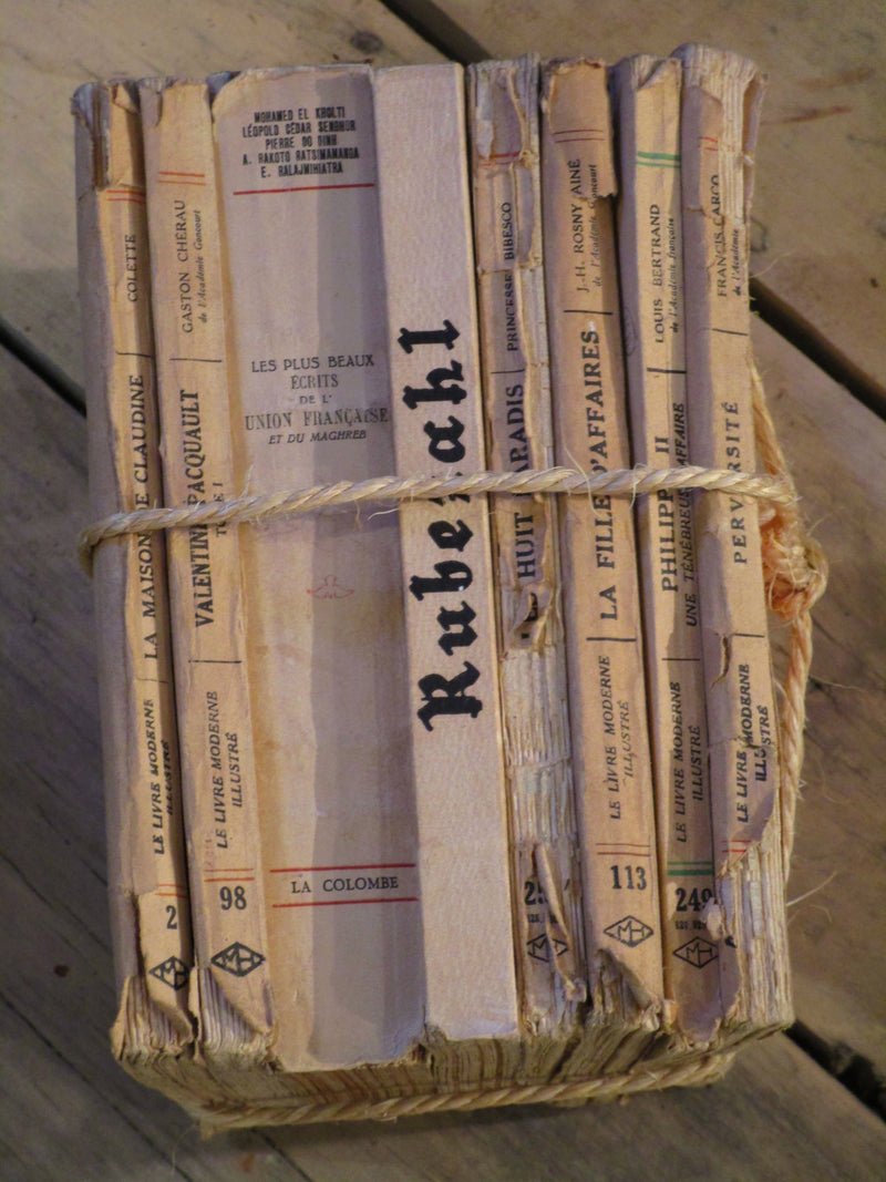 Spine - Collection French vintage books with string farmhouse