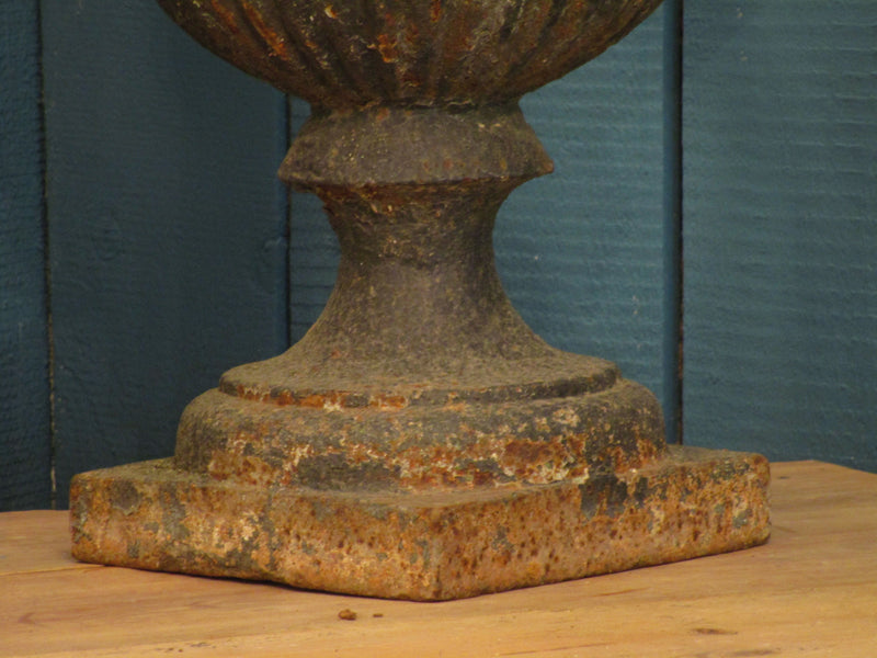 Large French Medici urn