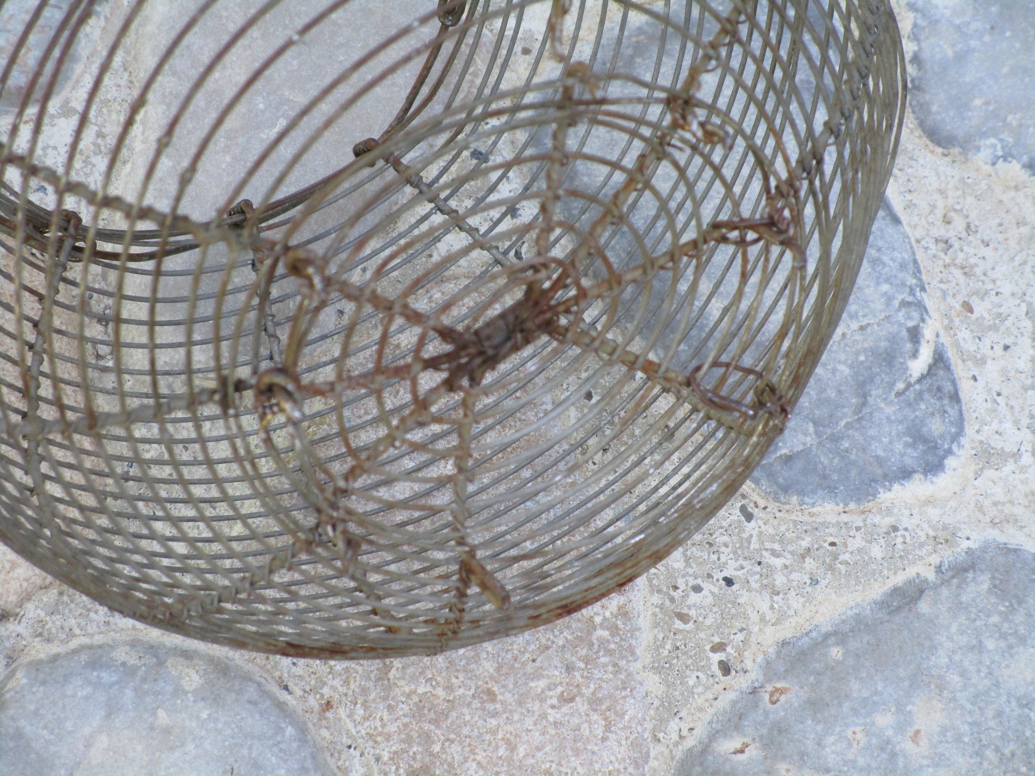 French wire basket