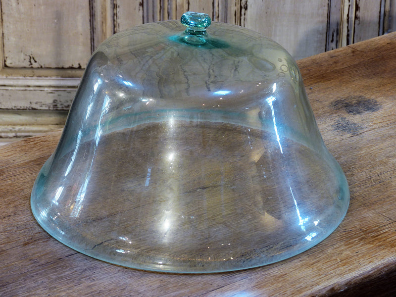 19th century glass garden cloche