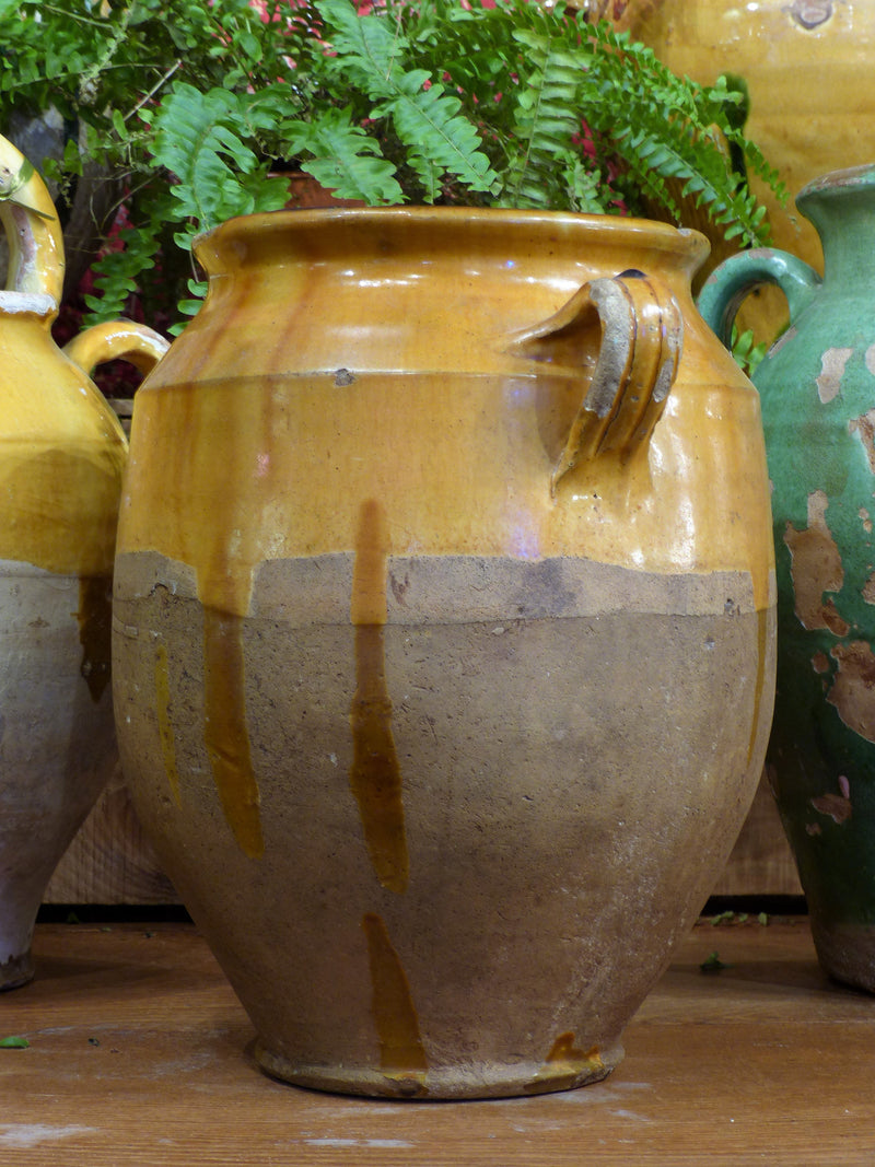 Late 19th century orange confit pot - 12½”