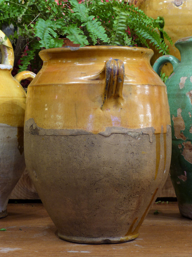 Late 19th century orange confit pot - 12½”