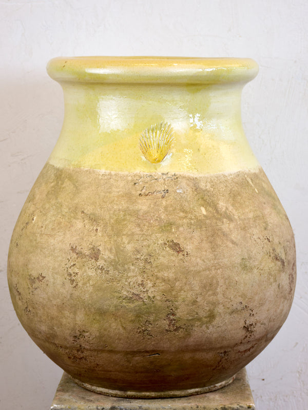 Vanilla Biot jar