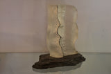 Breathtakingly Transparent Modern Art Sculpture